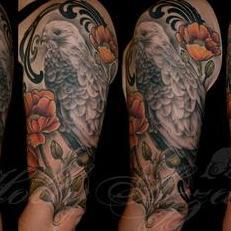 Tattoos - Hawk and poppies spread - 115560